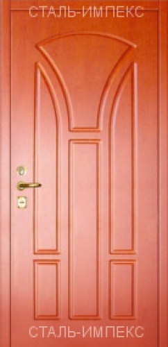 Дверь № 13-ДМП